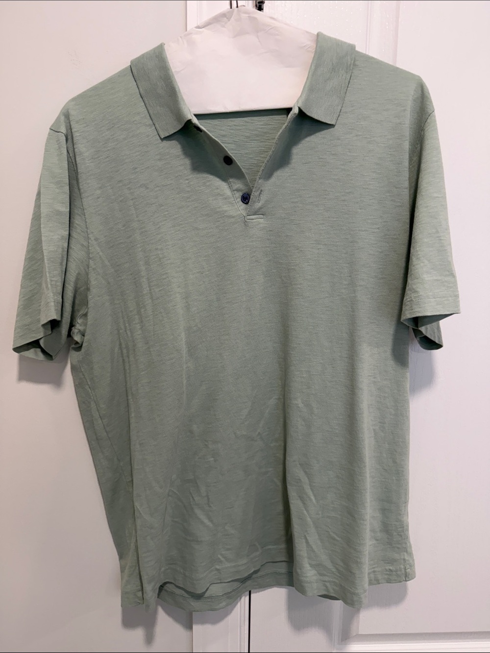 Theory Men's Light Sage Green Polo Shirt